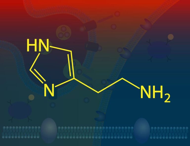 Spielt Histamin eine Schlüsselrolle bei Depressionen