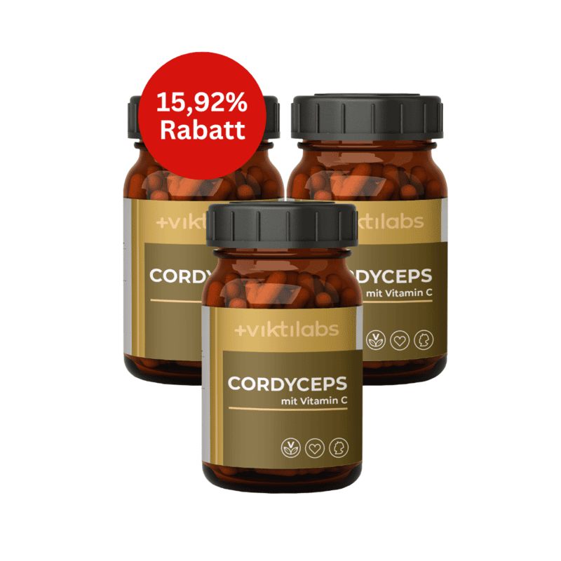 Cordyceps - 3er Bundle