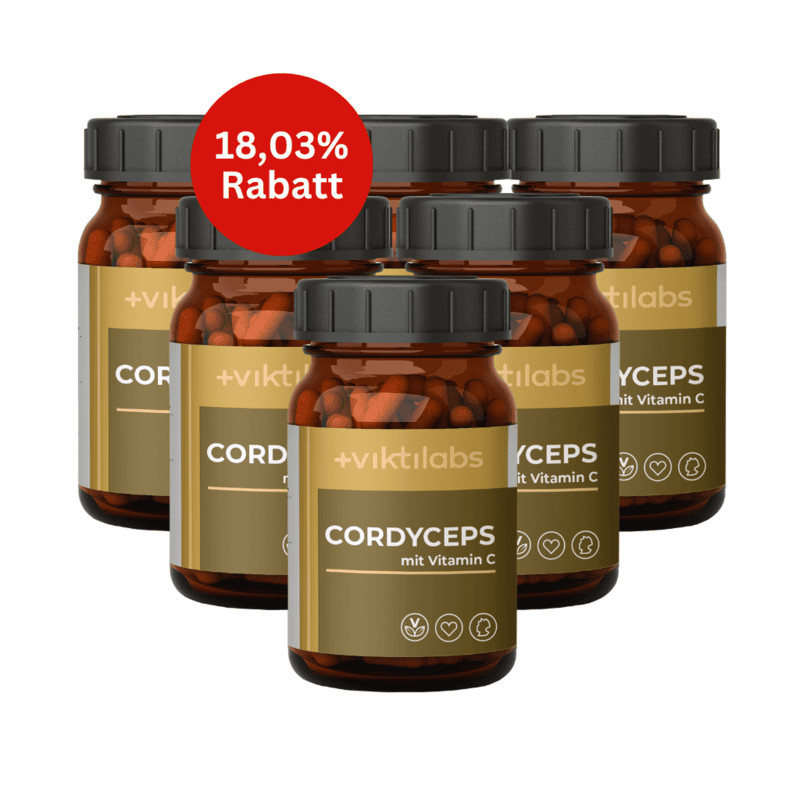 Cordyceps - 6er Bundle